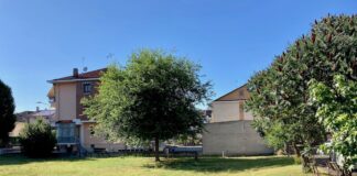 area verde carmagnola firme