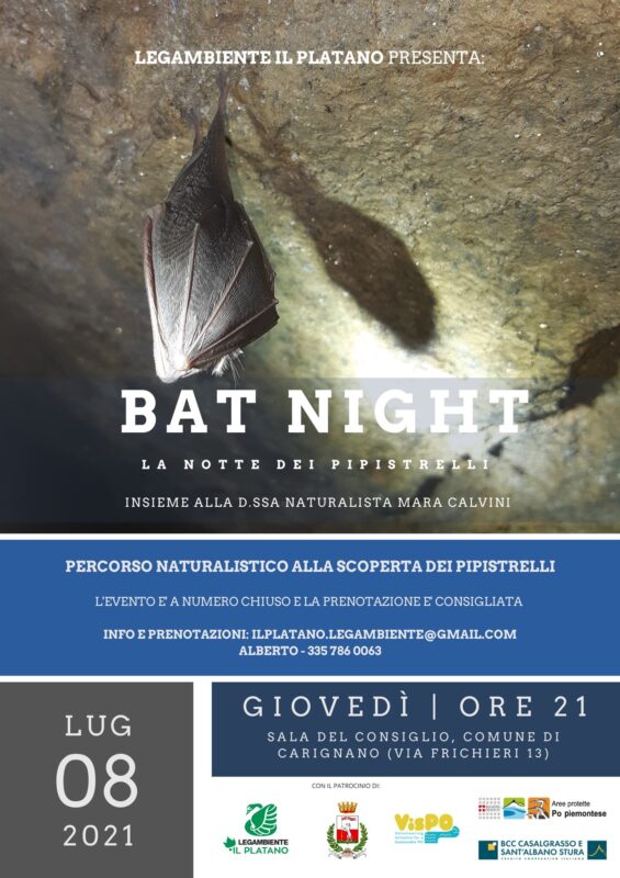 carignano pipistrelli