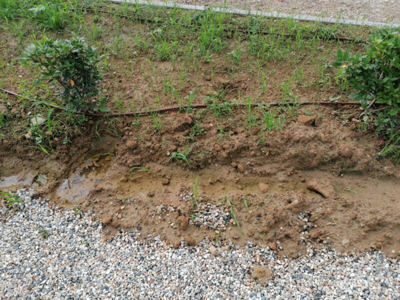 vandalismo Valinotto carignano