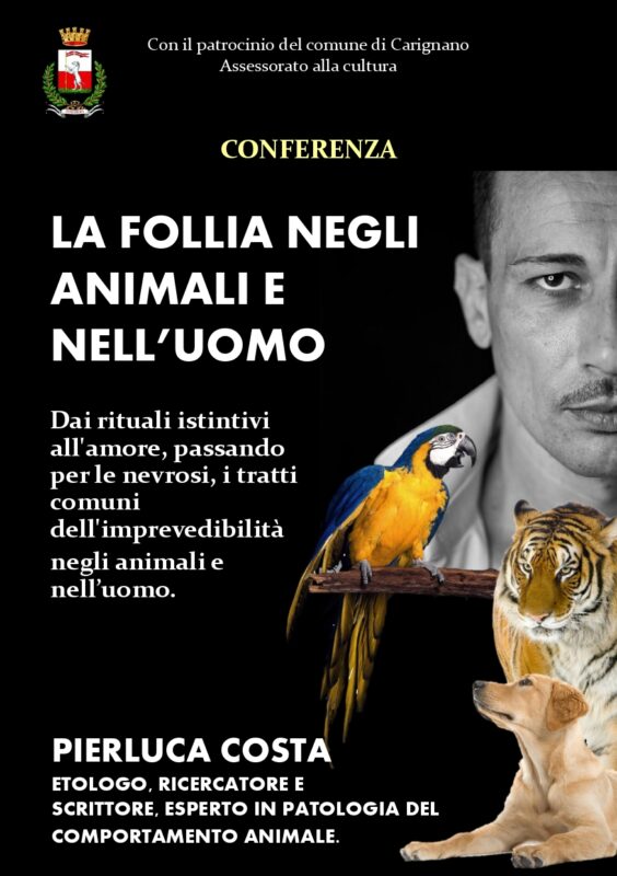 follia animali