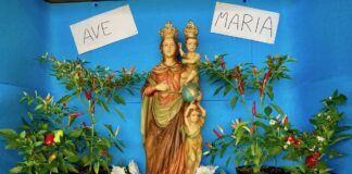 Peregrinatio Mariae Carmagnola
