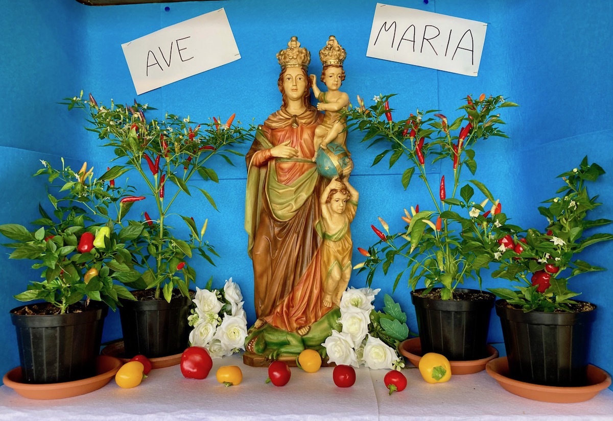"Peregrinatio Mariae", prosegue il pellegrinaggio della statua in Carmagnola