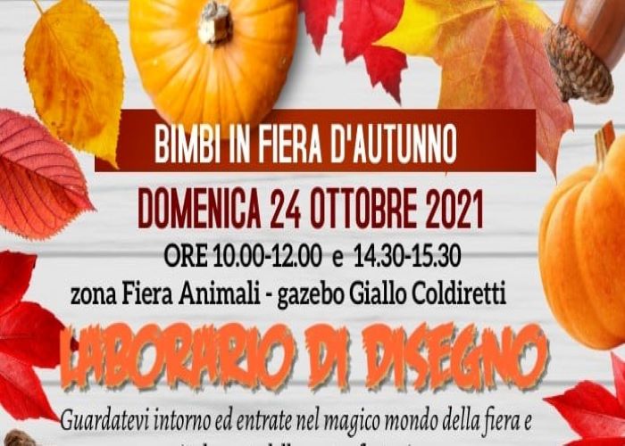 fiera di castagnole