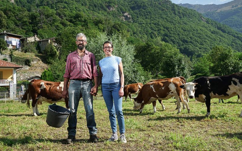 bando montagna piemonte