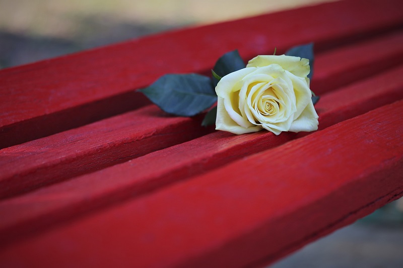 Sommariva panchina violenza donne