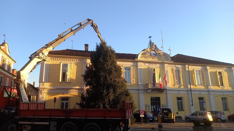 Pancalieri albero di Natala