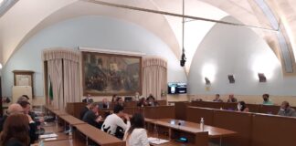 commissioni permanenti carmagnola consiglio comunale carmagnolese