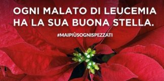 Moretta stelle Natale AIL
