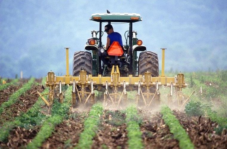 Un bando a sostegno delle imprese agroindustriali del Piemonte