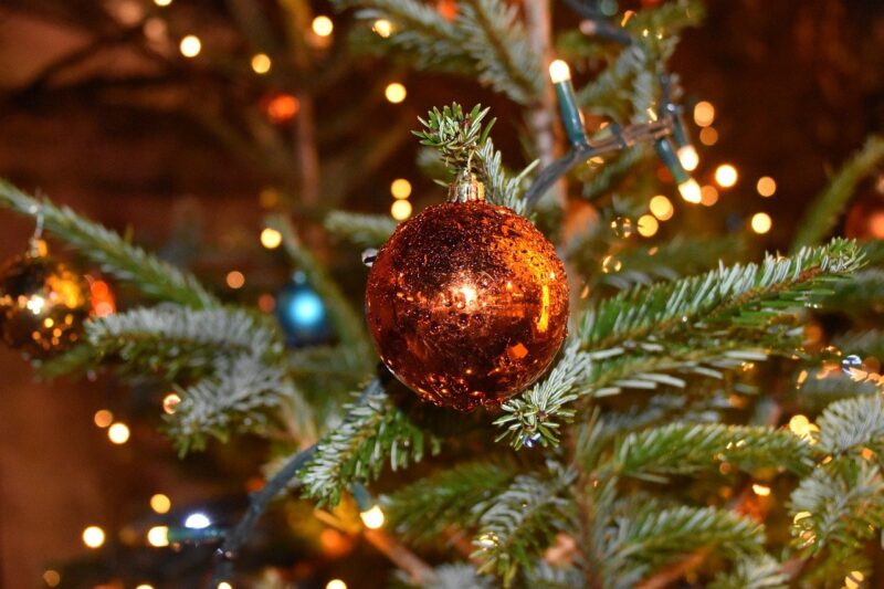 villaggio natale carignano