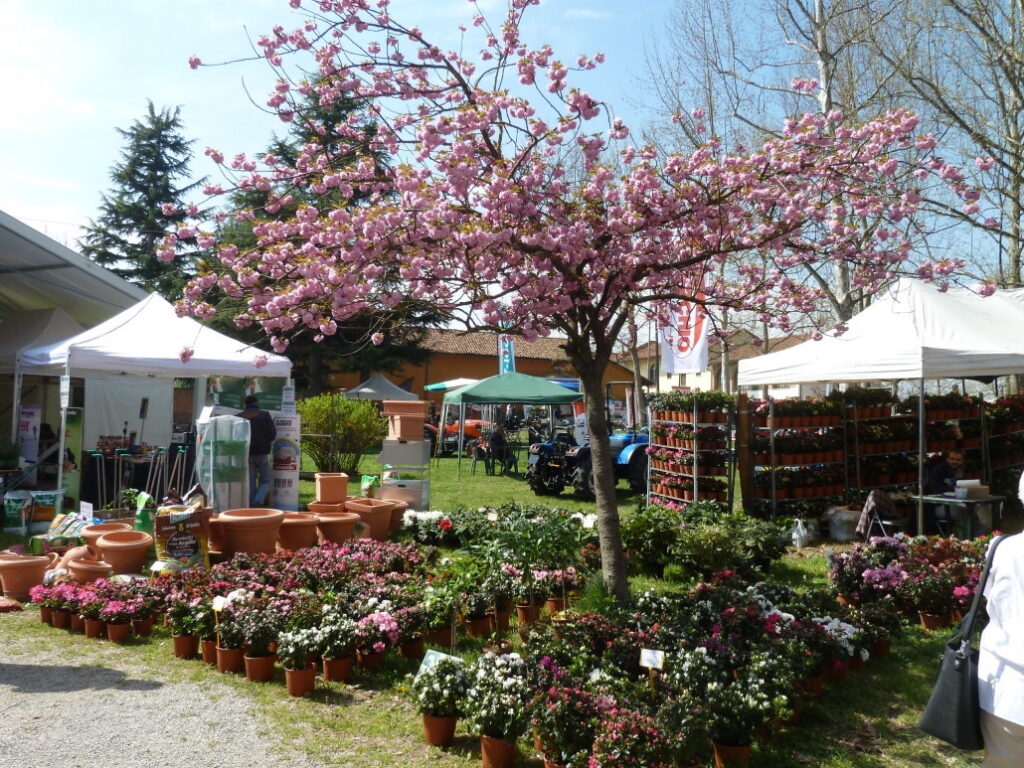 ortoflora carmagnola 2022