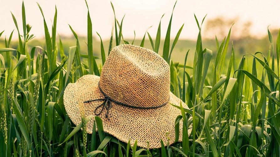 bando agricoltori piemonte