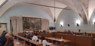 consiglio comunale a carmagnola streaming