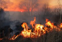 pericolo incendi boschivi piemonte