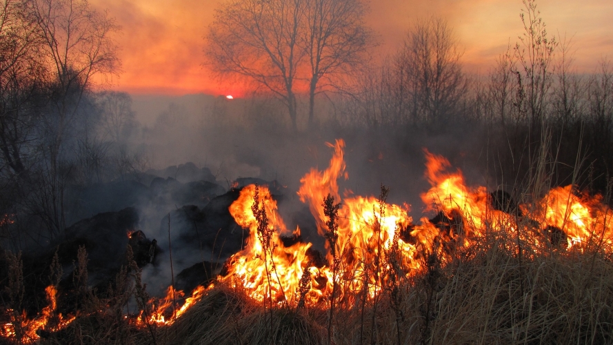 Incendi boschivi in Piemonte, dichiarato lo stato di massima pericolosità