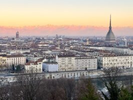 diesel euro 5 torinese
