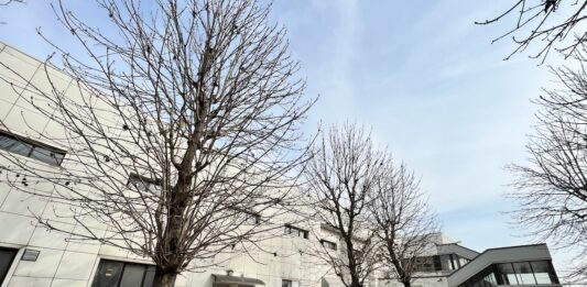 palazzetto dello sport carmagnola