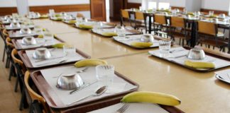 castagnole piemonte mensa scolastica disabilità lavoro occupazione cooperativa sociale solidarietà sei carmagnola