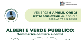 Sommariva alberi verde pubblico