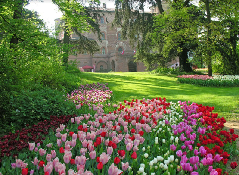 Messer Tulipano 25 aprile