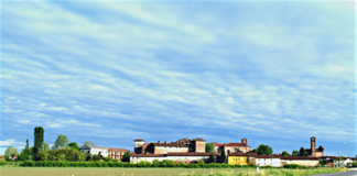 virle piemonte affitto terreni agricoli bando