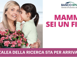 azalea-ricerca-festa-mamma