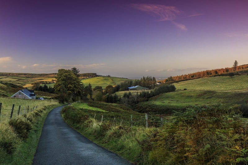 Irlanda Il Carmagnolese