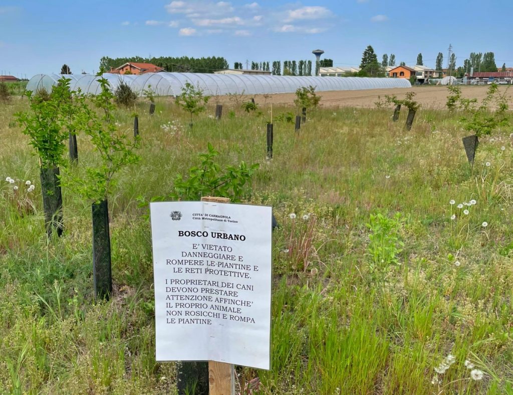 bosco urbano di Carmagnol