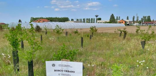 bosco urbano di Carmagnola via Sus
