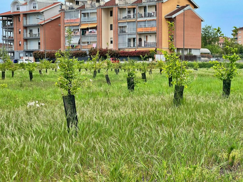 bosco urbano di Carmagnol