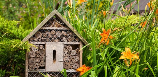 bee hotel carmagnola