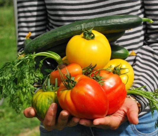 engim corso operatore agricolo