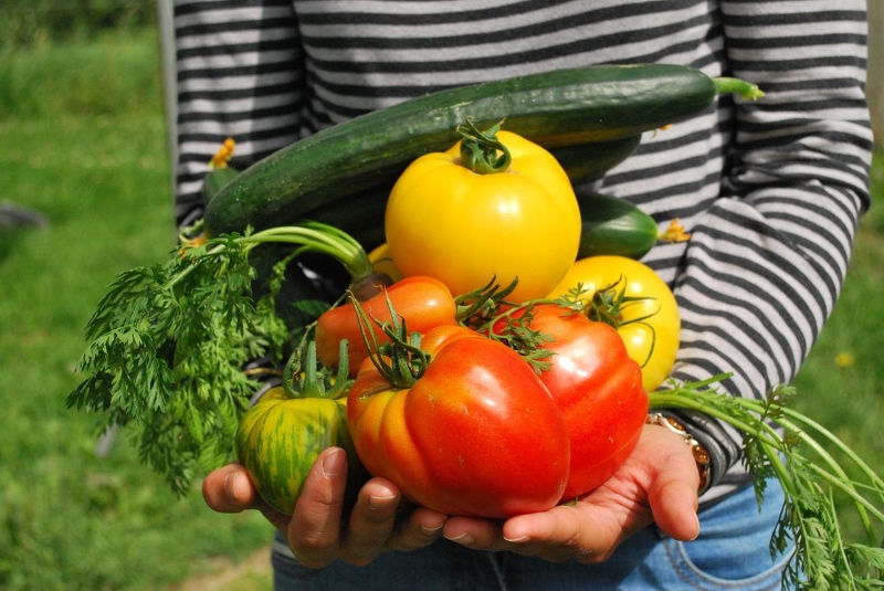 engim corso operatore agricolo