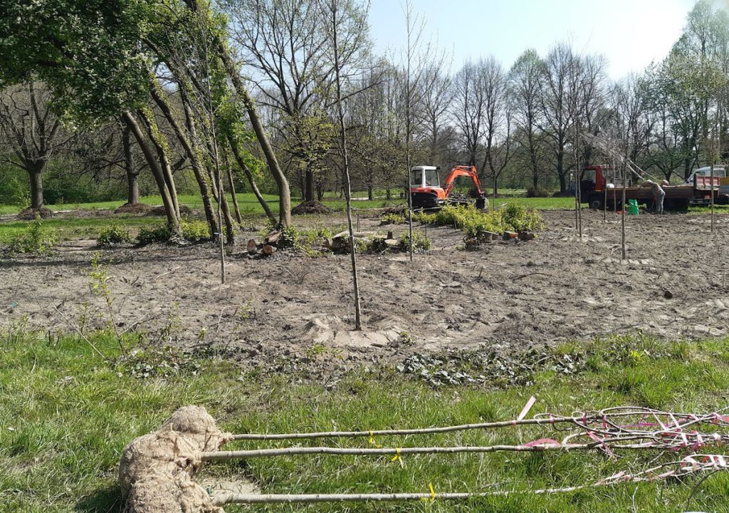 foresta del po carmagnola