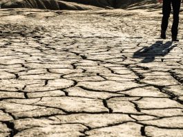 siccità crisi idrica piemonte