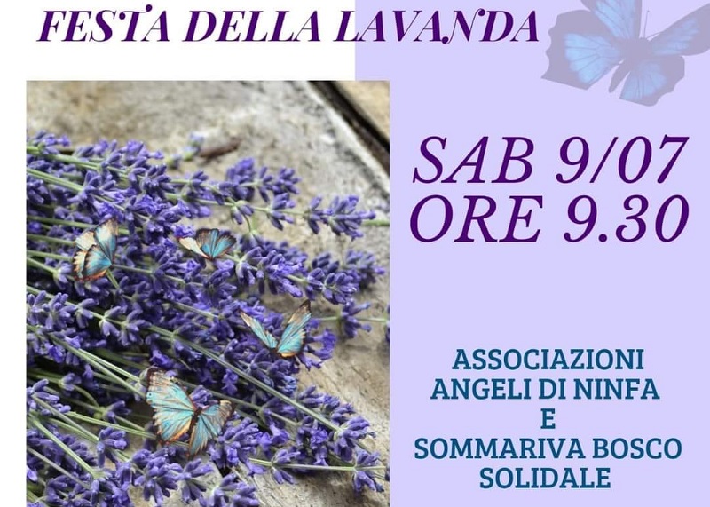 A Sommariva la Festa della lavanda con Angeli di Ninfa