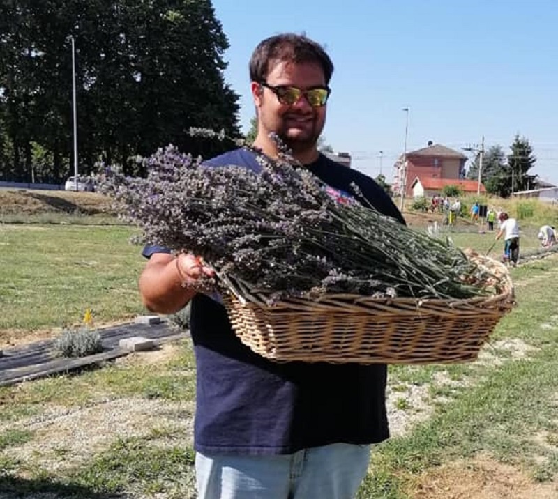Sommariva, i ragazzi di Angeli di Ninfa raccolgono la prima lavanda
