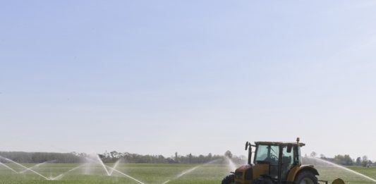 gasolio agricolo piemonte