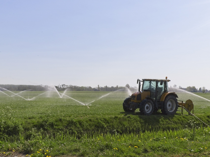 gasolio agricolo piemonte