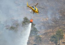 incendi piemonte