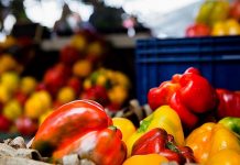 fiera del peperone benessere