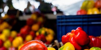 fiera del peperone benessere