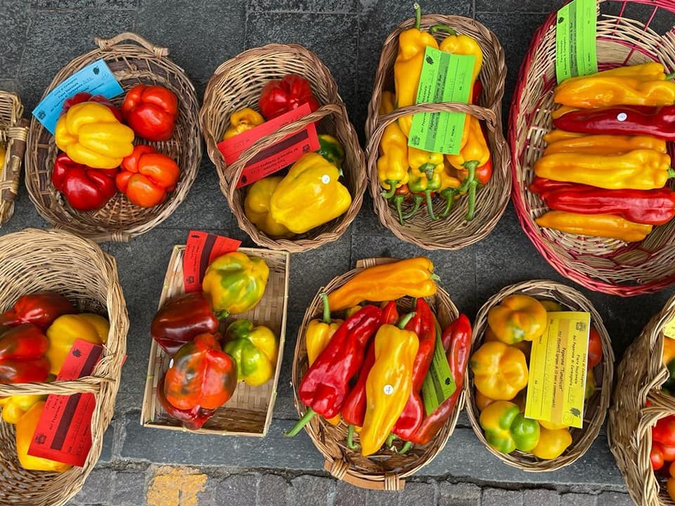 concorso del peperone carmagnola