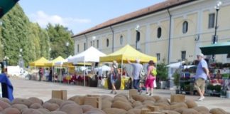 sagra patata villastellone