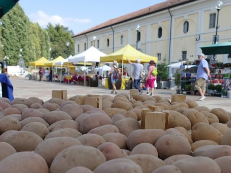sagra patata villastellone