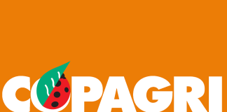 Stefano Gallo Copagri