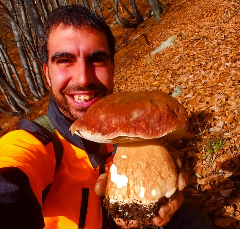 Gabriele Parena porcino
