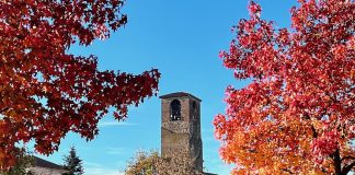 carmagnola consiglio comunale