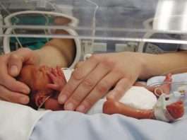giornata mondiale della prematurità 2022