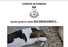 Poirino botti